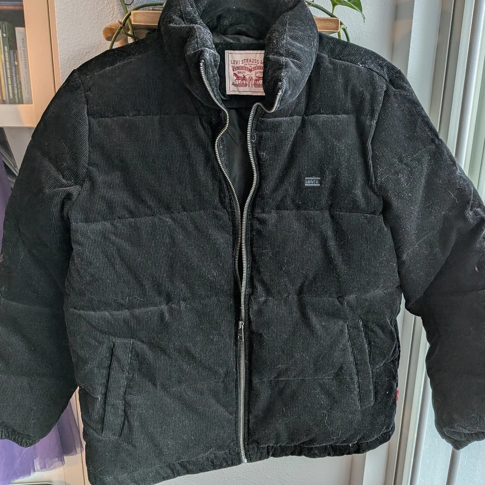 Levis Strauss stay warm